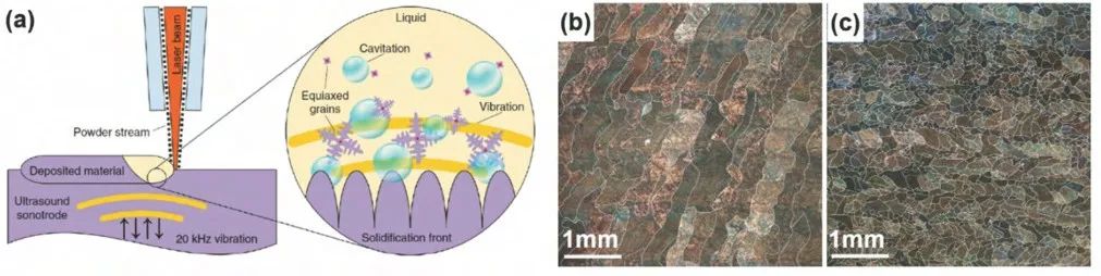 1676452948353046.jpg t4.jpg